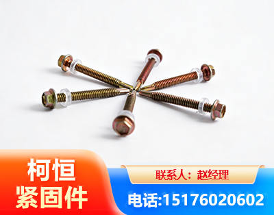 呼伦贝尔六角钻尾丝